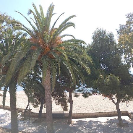 La Vela Al Vent Apartamentos Sant Carlos de la Ràpita Eksteriør billede